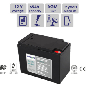 DB12-65X - DURATION BATTERY SERIES